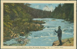 Image of front of postcard showing salmon fishing in New Brunswick, Canada