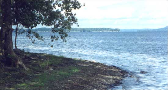 Image of Lake Champlain from the Champlain Islands. Photo by Sherrill Harbison.